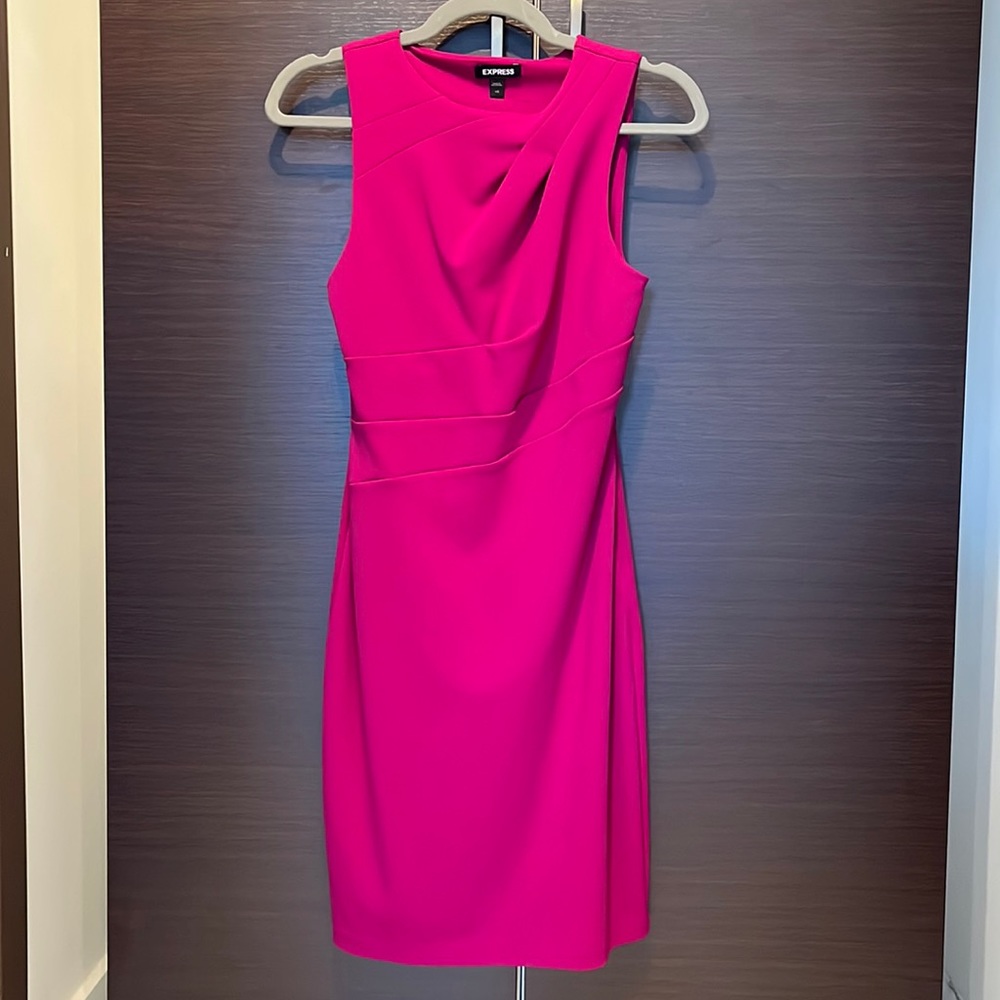 Express pleated dress